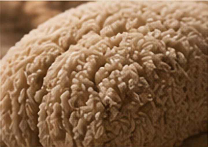 Macro of a padded tufted section