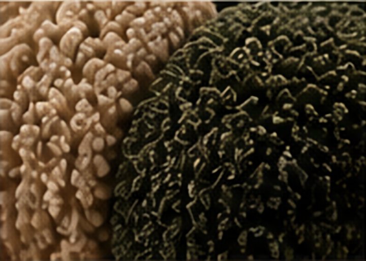 Macro of hand-tufted yarn in cream and moss green